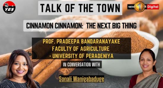 Cinnamon Cinnamon: The next big thing, Prof. Pradeepa Bandaranayake on the TALK OF THE TOWN